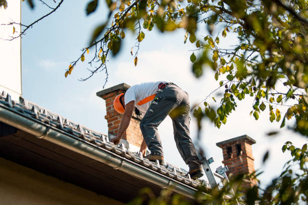 Best Metal Roofing Contractor  in Milton, GA